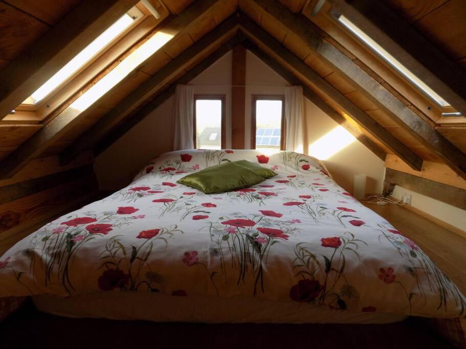 Chalet Log At The Old Summer Dairy Glastonbury Somerton (Somerset)